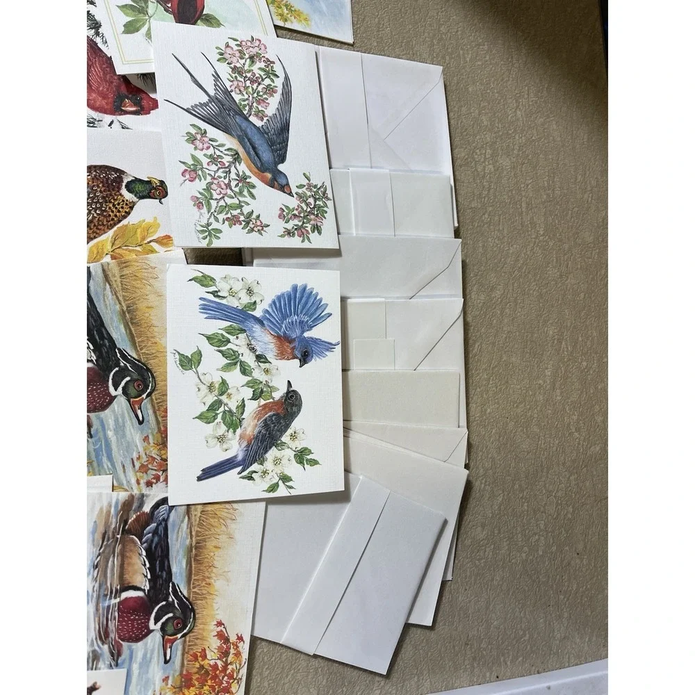 Birds Bird Notecard Card Lot w/ Envelopes Frameable Art Duck Cardinal Blue Jay